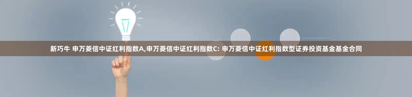 新巧牛 申万菱信中证红利指数A,申万菱信中证红利指数C: 申万菱信中证红利指数型证券投资基金基金合同